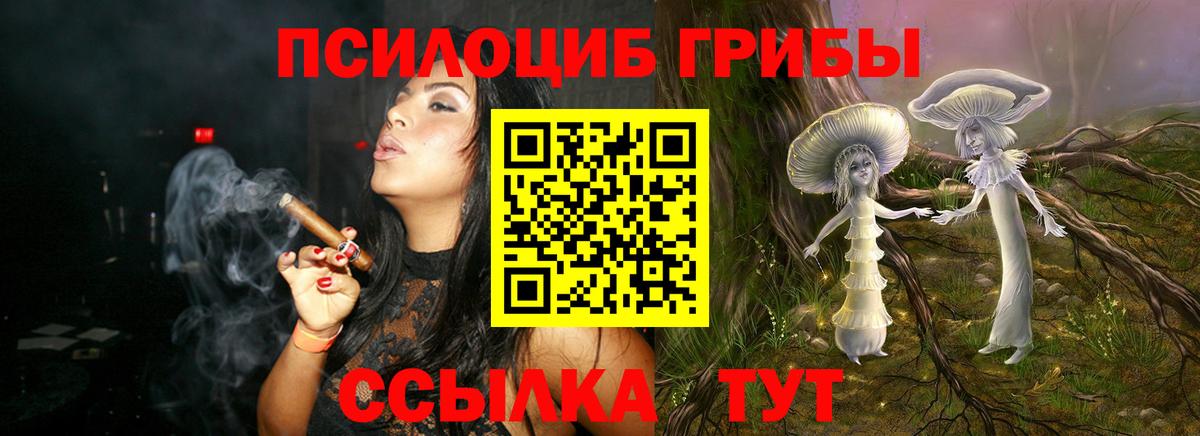Галлюциногенные грибы мицелий  Вход с VPN  Алейск 