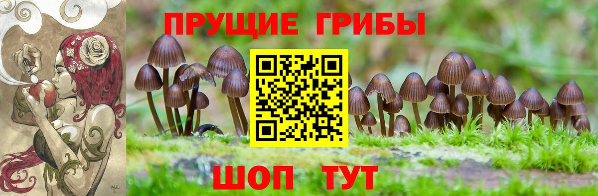 Галлюциногенные грибы прущие грибы Алейск